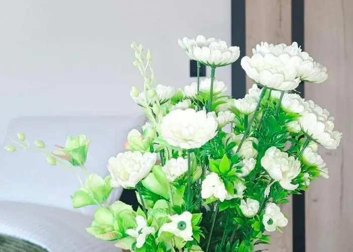 Wakacyjna Pokusa Apartmán *